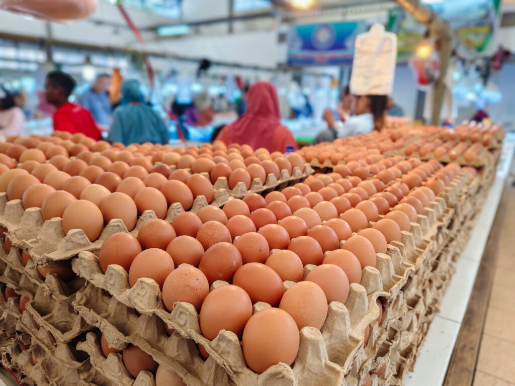 piles chicken eggs cardboard packages sale traditional markets