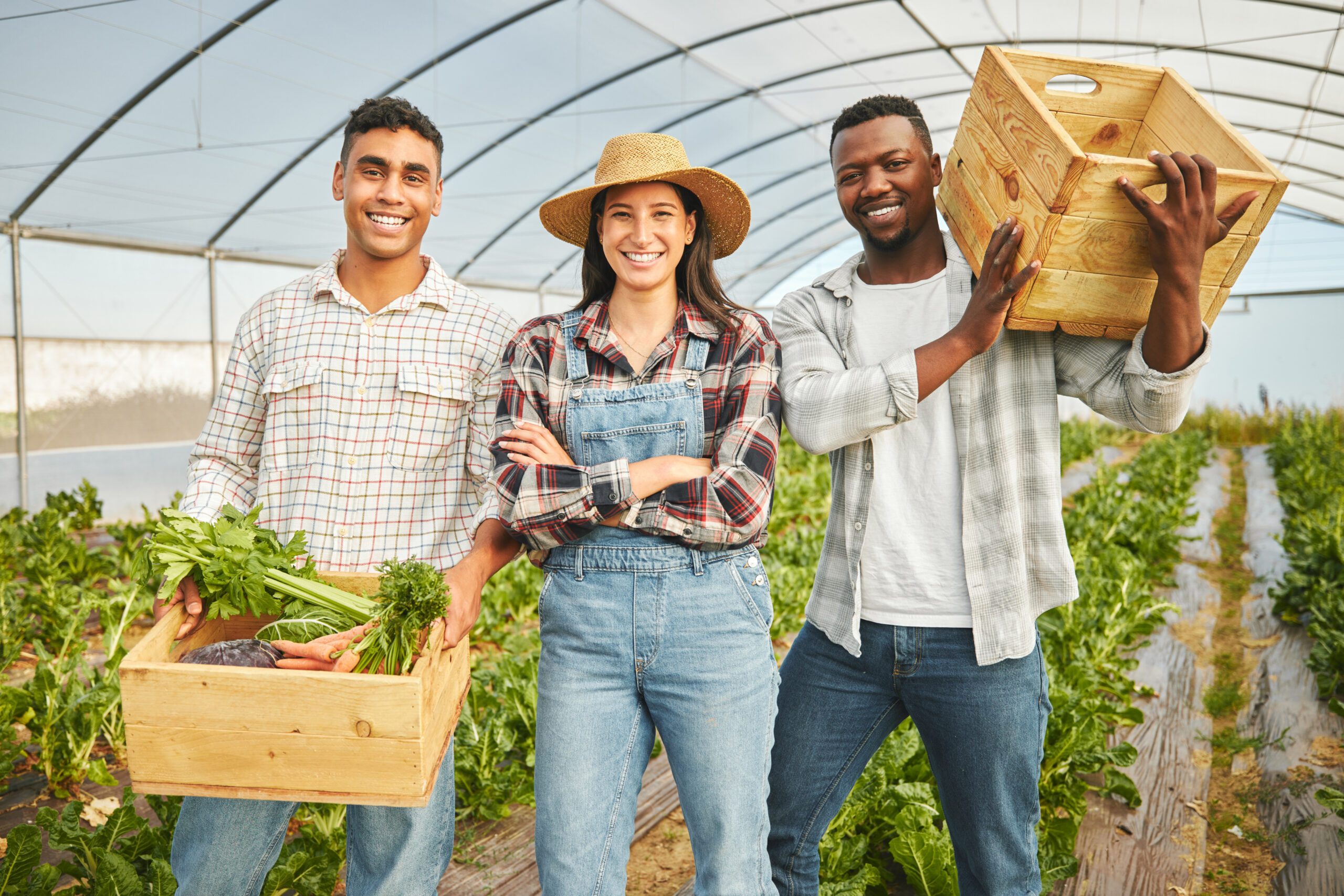 greenhouse business people portrait with vegetables harvesting fresh produce farming growth teamwork farmers agriculture with basket gardening nutrition healthy food scaled